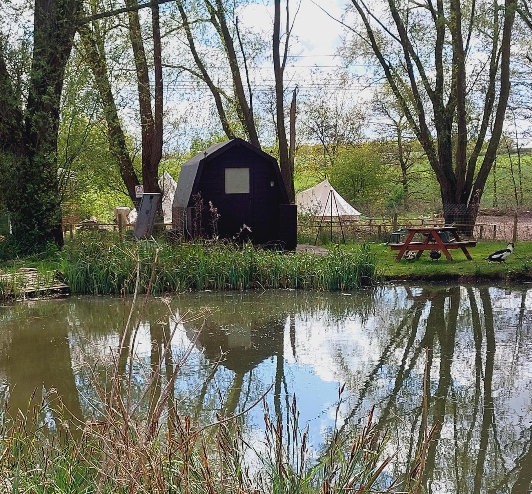 Rum Bridge Fisheries "The Cabin" Hotel Clare Luaran gambar