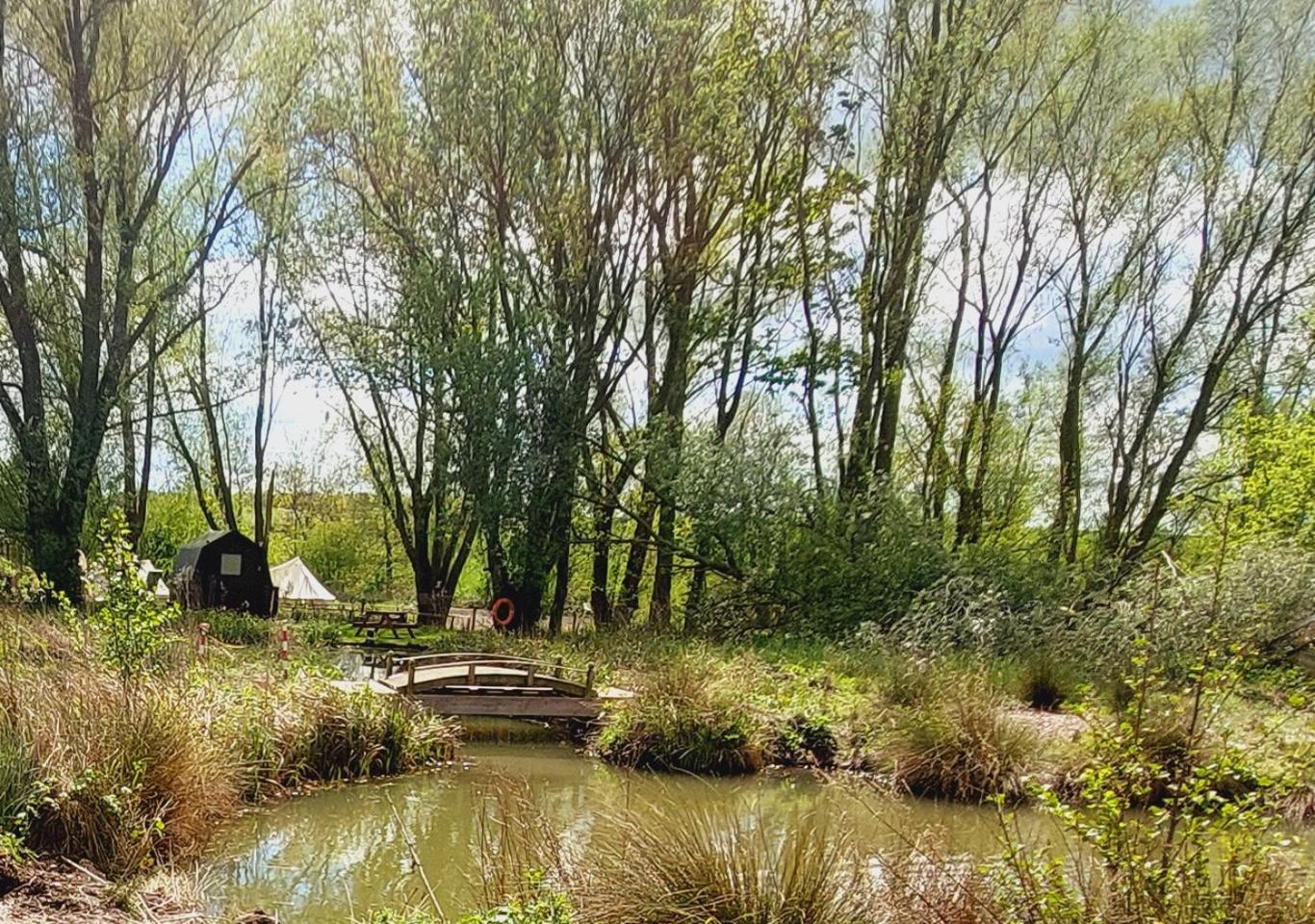 Rum Bridge Fisheries "The Cabin" Hotel Clare Luaran gambar